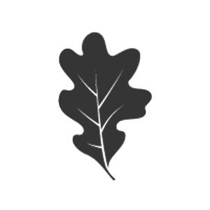 Preston-Hollow-Specialists-Logo